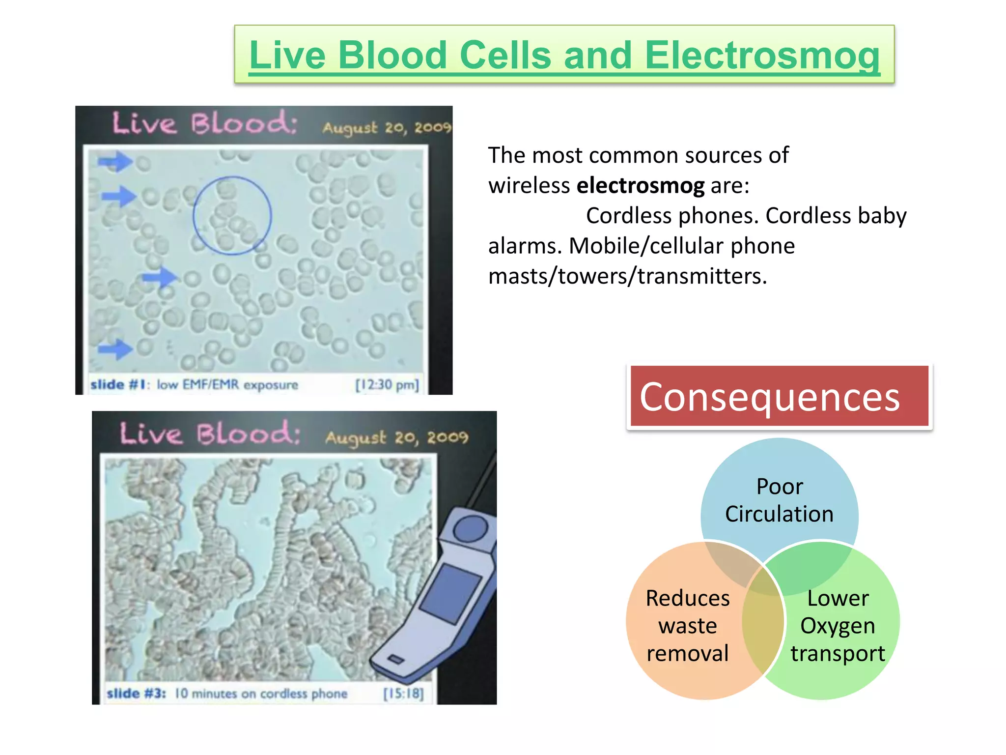 Cell-Phone/Tower Radiation Hazards | PDF