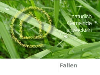 natürlich
  Gemeinde
  entwickeln




Fallen
 