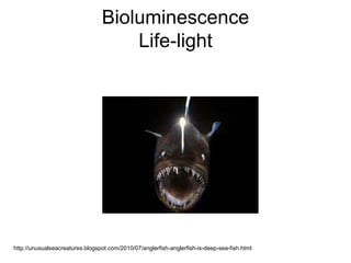 Bioluminescence
Life-light
http://unusualseacreatures.blogspot.com/2010/07/anglerfish-anglerfish-is-deep-sea-fish.html
 