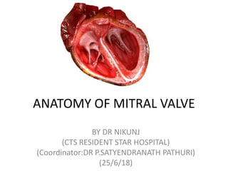 ANATOMY OF MITRAL VALVE
BY DR NIKUNJ
(CTS RESIDENT STAR HOSPITAL)
(Coordinator:DR P.SATYENDRANATH PATHURI)
(25/6/18)
 