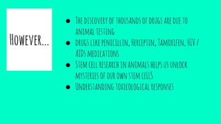 However...
● Thediscoveryofthousandsofdrugsaredueto
animaltesting
● drugslikepenicillin,Herceptin,Tamoxifen, HIV/
AIDsmedications
● Stemcellresearchinanimalshelpsusunlock
mysteriesofourownstemceLLS
● Understandingtoxicologicalresponses
 