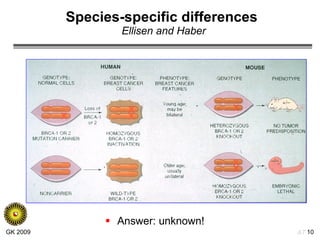Species-specific differences  Ellisen and Haber Answer: unknown! 