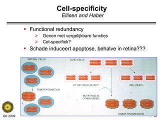 Cell-specificity   Ellisen and Haber Functional redundancy Genen met vergelijkbare functies Cel-specifiek? Schade induceert apoptose, behalve in retina??? 