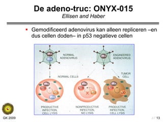 De adeno-truc: ONYX-015 Ellisen and Haber Gemodificeerd adenovirus kan alleen repliceren –en dus cellen doden– in p53 negatieve cellen 