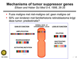 Mechanisms of tumor suppressor genes Ellisen and Haber Sci Med 5-4, 1998, 26-35 Fusie maligne met niet-maligne cel: geen maligne cel 50% van kinderen met familiehistorie retinoblastoma krijgt deze tumor; predestinatie? AMPLIFICATION REARRANGEMENT ACTIVATING MUTATION INACTIVATING MUTATION DELETION LOSS OF FUNCTION GAIN OF FUNCTION NORMAL GENE  AT CHROMOSOMAL LOCUS 