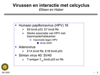 Virussen en interactie met celcyclus Ellisen en Haber Humaan papillomavirus (HPV) 16 E6 bindt p53, E7 bindt Rb Sterke associatie van HPV met baarmoederhalskanker Vaccinatie tegen HPV Sinds 2009! Adenovirus  E1A bindt Rb, E1B bindt p53 Simian virus 40: SV40 T-antigen T ag  bindt p53 en Rb 