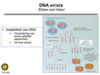 DNA errors   Ellisen and Haber Instabiliteit van DNA Verandering van micro-satelliet sequenties Of vice-versa! 