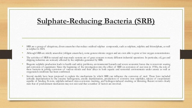 Natural Substitute For Bio Oil Natural Substitute For Bio Oil
