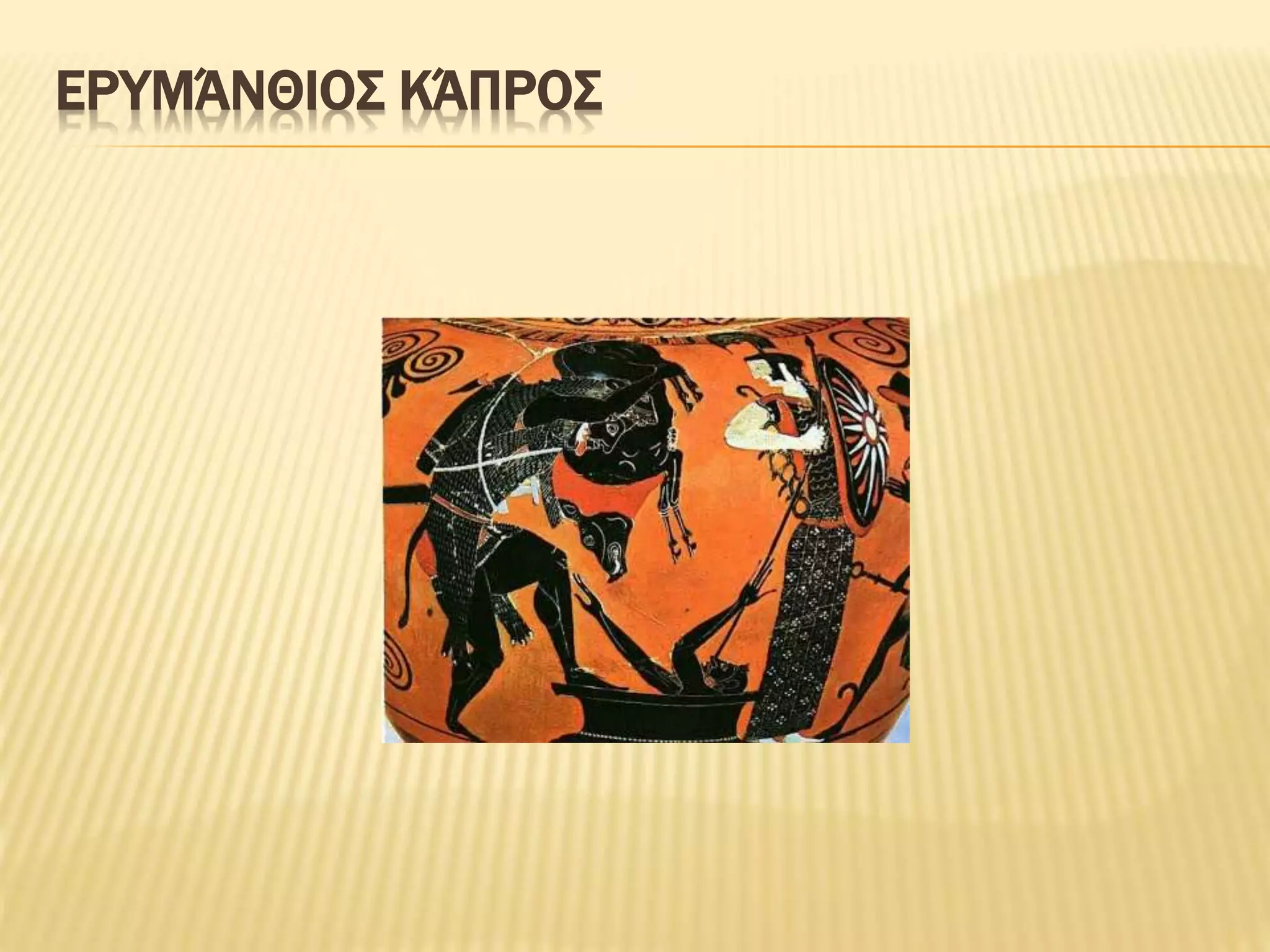 ΕΡΥΜΆΝΘΙΟΣ ΚΆΠΡΟΣ
 