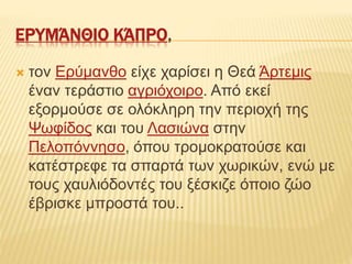 ΕΡΥΜΆΝΘΙΟ ΚΆΠΡΟ,
 τον Ερύμανθο είχε χαρίσει η Θεά Άρτεμις
έναν τεράστιο αγριόχοιρο. Από εκεί
εξορμούσε σε ολόκληρη την περιοχή της
Ψωφίδος και του Λασιώνα στην
Πελοπόννησο, όπου τρομοκρατούσε και
κατέστρεφε τα σπαρτά των χωρικών, ενώ με
τους χαυλιόδοντές του ξέσκιζε όποιο ζώο
έβρισκε μπροστά του..
 