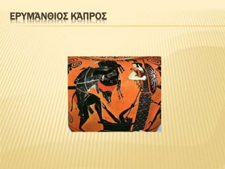 ΕΡΥΜΆΝΘΙΟΣ ΚΆΠΡΟΣ
 