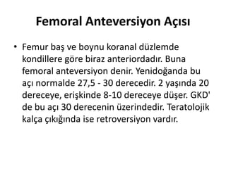 Femoral Anteversiyon Açısı
• Femur baş ve boynu koranal düzlemde
  kondillere göre biraz anteriordadır. Buna
  femoral anteversiyon denir. Yenidoğanda bu
  açı normalde 27,5 - 30 derecedir. 2 yaşında 20
  dereceye, erişkinde 8-10 dereceye düşer. GKD'
  de bu açı 30 derecenin üzerindedir. Teratolojik
  kalça çıkığında ise retroversiyon vardır.
 