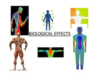 BIOLOGICAL EFFECTS 
 