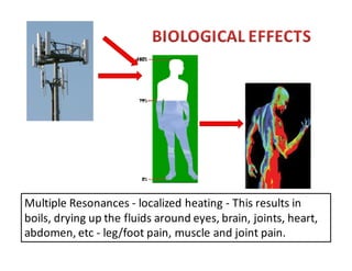 Multiple Resonances - localized heating - This results in 
boils, drying up the fluids around eyes, brain, joints, heart, 
abdomen, etc - leg/foot pain, muscle and joint pain. 
 