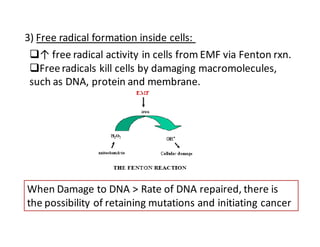 3) Free radical formation inside cells: 
↑ free radical activity in cells from EMF via Fenton rxn. 
Free radicals kill cells by damaging macromolecules, 
such as DNA, protein and membrane. 
When Damage to DNA  Rate of DNA repaired, there is 
the possibility of retaining mutations and initiating cancer 
 