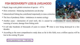 FISH BIODIVERSITY LOSS & LIVELIHOOD
• Rapid, large scale global extinction of species - 87 %
• Slow extinction - balancing mechanisms can develop
• Industrialized fishing has contributed importantly to mass extinction
• The loss of predatory fishes - imbalances in marine ecology
• Another cause - destruction of coral reefs, this is caused by combination of causes, including
warming of oceans, damage from fishing tools
• It will take hundreds of thousands of years to restore  what is now being destroyed in a few
decades
• According to the most comprehensive study done so far in this field, over a million species will be
lost in the coming 50 years
Fisher population in India – 3.99 million
 