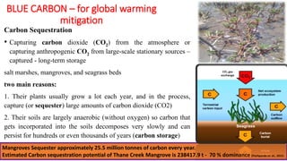BLUE CARBON – for global warming
mitigation
Carbon Sequestration
• Capturing carbon dioxide (CO2) from the atmosphere or
capturing anthropogenic CO2 from large-scale stationary sources –
captured - long-term storage
salt marshes, mangroves, and seagrass beds
two main reasons:
1. Their plants usually grow a lot each year, and in the process,
capture (or sequester) large amounts of carbon dioxide (CO2)
2. Their soils are largely anaerobic (without oxygen) so carbon that
gets incorporated into the soils decomposes very slowly and can
persist for hundreds or even thousands of years (carbon storage)
Mangroves Sequester approximately 25.5 million tonnes of carbon every year.
Estimated Carbon sequestration potential of Thane Creek Mangrove is 238417.9 t - 70 % dominance (Pachpande et. al., 2015)
 