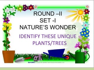 ROUND –II
SET -I
NATURE’S WONDER
IDENTIFY THESE UNIQUE
PLANTS/TREES
 