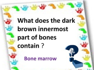 What does the dark
brown innermost
part of bones
contain ?
Bone marrow
 