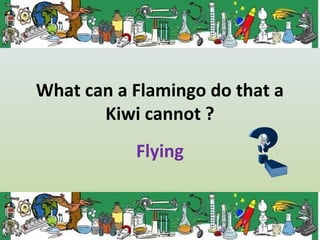 What can a Flamingo do that a
Kiwi cannot ?
Flying
 