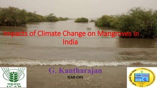 Impacts of Climate Change on Mangroves in
India
G. Kantharajan
ICAR-CIFE
 