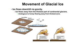 Movement of Glacial Ice
< Ice flows downhill via gravity.
= Ice flows away from the thickest part of continental glaciers.
 Analogous to honey flowing away from thickest zone.
 