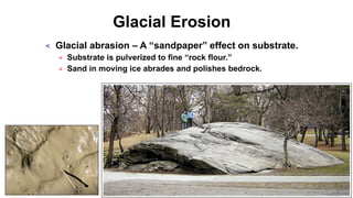 Glacial Erosion
< Glacial abrasion – A “sandpaper” effect on substrate.
= Substrate is pulverized to fine “rock flour.”
= Sand in moving ice abrades and polishes bedrock.
 