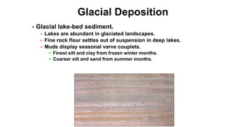 Glacial Deposition
< Glacial lake-bed sediment.
= Lakes are abundant in glaciated landscapes.
= Fine rock flour settles out of suspension in deep lakes.
= Muds display seasonal varve couplets.
 Finest silt and clay from frozen winter months.
 Coarser silt and sand from summer months.
 