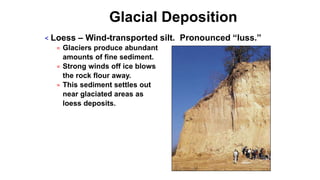 Glacial Deposition
< Loess – Wind-transported silt. Pronounced “luss.”
= Glaciers produce abundant
amounts of fine sediment.
= Strong winds off ice blows
the rock flour away.
= This sediment settles out
near glaciated areas as
loess deposits.
 
