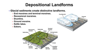 Depositional Landforms
< Glacial sediments create distinctive landforms.
= End moraines and terminal moraines.
= Recessional moraines.
= Drumlins.
= Ground moraine.
= Kettle lakes.
= Eskers.
 