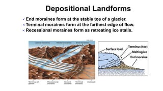 Depositional Landforms
< End moraines form at the stable toe of a glacier.
< Terminal moraines form at the farthest edge of flow.
< Recessional moraines form as retreating ice stalls.
 
