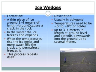 Ice Wedges
 Formation:
 A thin piece of ice
around 3-4 meters of
length (ground)causes a
crack in the rock
 In the winter the ice
freezes and expands
 When the temperatures
rise the ice melts and
more water fills the
crack and permafrost
freezes it
 This process repeats
itself
 Description:
 Usually in polygons
 Temperatures need to be
−6° to −8°C or colder
 up to 3–4 meters in
length at ground level
and extends downwards
into the ground up to
several meters
 