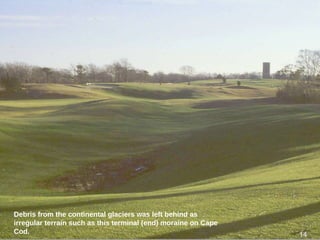 14
Debris from the continental glaciers was left behind as
irregular terrain such as this terminal (end) moraine on Cape
Cod. 14
 