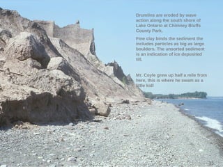 Drumlins are eroded by wave
action along the south shore of
Lake Ontario at Chimney Bluffs
County Park.
Fine clay binds the sediment the
includes particles as big as large
boulders. The unsorted sediment
is an indication of ice deposited
till.
Mr. Coyle grew up half a mile from
here, this is where he swam as a
little kid!
35
 
