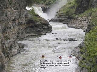 Some New York streams, including
the Genesee River in Letchworth
Gorge carve out narrow V-shaped
valleys.
38
 