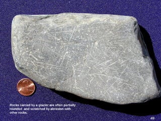 Rocks carried by a glacier are often partially
rounded and scratched by abrasion with
other rocks.
49
 