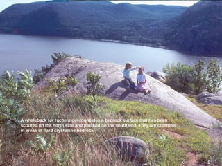 51
A whaleback (or roche mountonnée) is a bedrock surface that has been
scoured on the north side and plucked on the south end. They are common
in areas of hard crystalline bedrock.
51
 