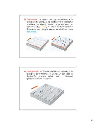 b) Transversas, las crestas son perpendiculares a la
   dirección del viento. Si las crestas tienen una forma
   ondulada en planta, similar cresta de gallo se
   denominan tipo aklé, y cuando la cresta tiene forma
   festoneada con ángulos agudos se clasifican como
   barjanoide.




c) Longitudinales, las crestas se disponen paralelas a la
    dirección predominante del viento. En este caso la
    laminación cruzada indica una               dirección
    perpendicular a la del viento.




                                                            7
 