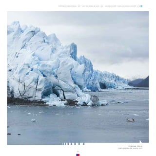 GLACIAR PÍO XI
CAMPO DE HIELO SUR. AGOSTO, 2013.
ZONA GLACIOLÓGICA AUSTRAL
GLACIARES DE CHILE
DIRECCIÓN GENERAL DE AGUAS - DGA
MINISTERIO DE OBRAS PÚBLICAS - MOP
77
 