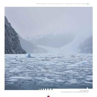 GLACIAR HPS10
VISTA DESDE FIORDO FALCON, CAMPO DE HIELO SUR. AGOSTO, 2013.
ZONA GLACIOLÓGICA AUSTRAL
GLACIARES DE CHILE
DIRECCIÓN GENERAL DE AGUAS - DGA
MINISTERIO DE OBRAS PÚBLICAS - MOP
79
 