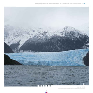 GLACIAR PATOS
VISTA DESDE FIORDO ANDREW, CAMPO DE HIELO SUR. AGOSTO, 2013.
81
ZONA GLACIOLÓGICA AUSTRAL
GLACIARES DE CHILE
DIRECCIÓN GENERAL DE AGUAS - DGA
MINISTERIO DE OBRAS PÚBLICAS - MOP
 