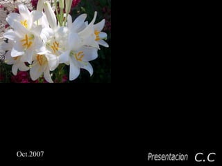 Presentacion C.C Oct.2007 