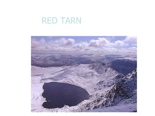RED TARN 