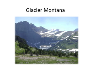 Glacier Montana
 