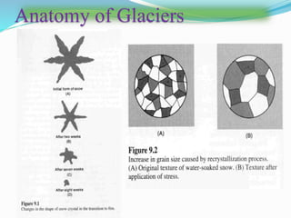 Anatomy of Glaciers
 