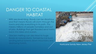 DANGER TO COASTAL
HABITAT
• With sea level rising ,floods can be disastrous
and that means floods will storm through the
towns and strip everything in its path. This
means millions of people homeless and out
of jobs .Buildings that get flooded send toxins
back into lakes and ocean.
• Glaciers melting can also lead to huge
floods as natural dams formed by ice burst,
sending lethal torrents down mountains and
destroying forests.
Hurricane Sandy New Jersey Pier
 