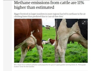 Introducing the Global Livestock Advocacy for Development project