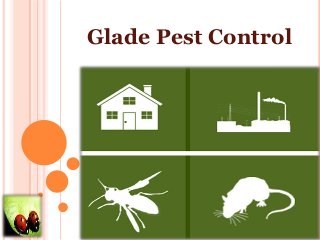 Glade Pest Control
 