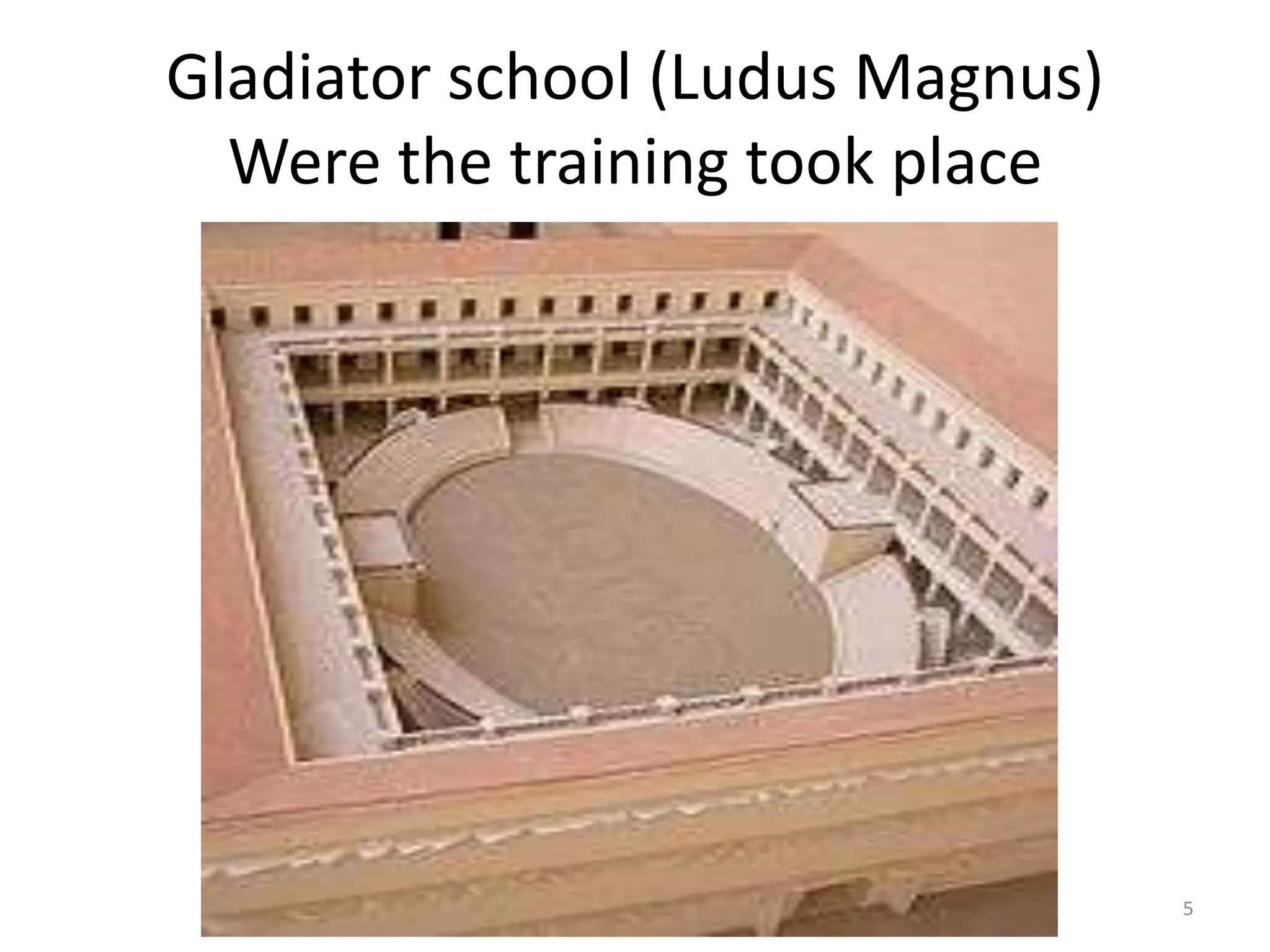 Gladiator school (Ludus Magnus)Were the training took place5