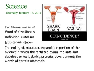 Science
Thursday, January 15, 2015
Root of the Week us/ut (to use)
Word of day: Uterus
Definition: u•ter•us
[yoo-ter-uh s]noun
The enlarged, muscular, expandable portion of the
oviduct in which the fertilized ovum implants and
develops or rests during prenatal development; the
womb of certain mammals.
 